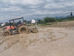 仙居縣皤灘鄉(xiāng)板橋村建設用地復墾項目